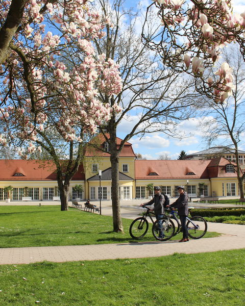 Gäste des Hotels bei einer Radtour in Bad Hersfeld